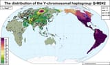Global_frequency_distribution_map_of_haplogroup_Q-M242_(Y-DNA)