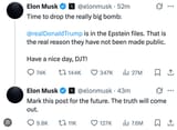 Punished Musk
