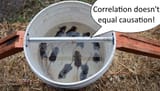 correlation.doesnt.equal.causation.