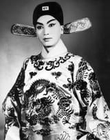 xi pei pu