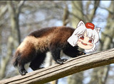 awoo awooverine