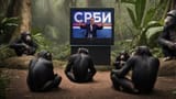 zvučni-napad-u-beogradu-šta-je-pokazala-istraga-v0-bxtrq9nx6g8f1