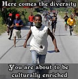 here comes the diversity