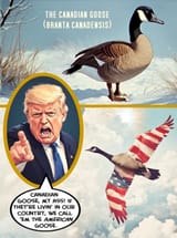 070725dailystormermeme64-1144x1536