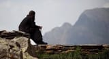 meditation