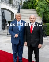 1751988910591984