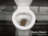Oh shit