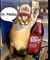 dr-pepper-dr-pebba
