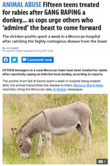 moroccan_sheep_shaggers