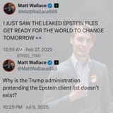 Trump-epstein-wallace