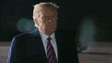 trump-wow