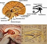 1723597835610843