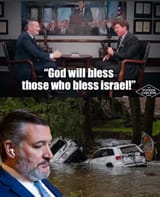Lion Ted