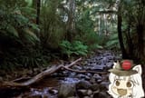 AWOO_badger-creek