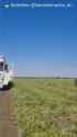 These are Ukrainian farmers from Kherson region. Theyre harvesting watermelons, which is vital for their livelihood. 07-07-2025 Russian drones are hunting Ukrainians HD_thumb.jpg