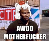 awoo maga motherfucker