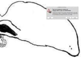 6000000gb_nose