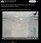 Russian drone operators killed a bird, likely a rare white pelican. Reportedly, they did it for training. 08-07-2025 they had no problem with posting their crime online HD