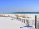 IMG_0916