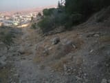 IMG_20250708_201217