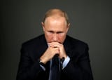 Borowitz-PutinMidterms