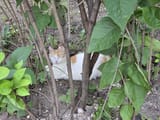 IMG_20250708_220249_093