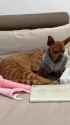 VID_20250527_202726_075_thumb.jpg