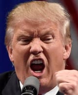 trumpmad