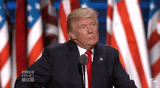 trumpthinking