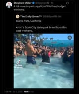 Ape