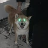 Demondoge.
