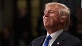 Trump_smug7