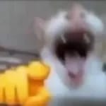 1744464759105791