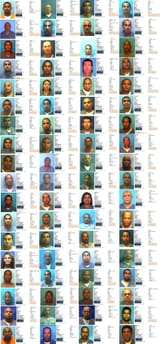 Faces of America 5