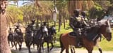 horse_ice