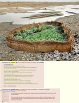 african farmer