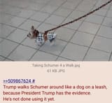 Trump &amp; Schumer