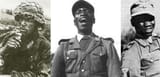 Nazi niggers hate jews