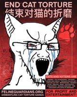 cattorture