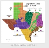 Texasvegmap