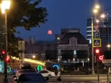 IMG_20250709_030655_499