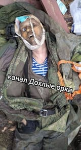 image_0012