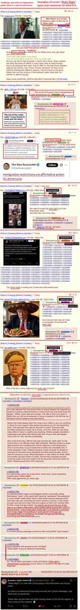 woke right spam