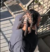 Screenshot_20250708_183930_TikTok