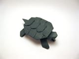 turts