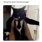 GikvOwdWIAAzcXo