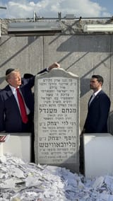 1731359481335