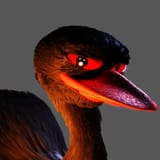 black swan hd