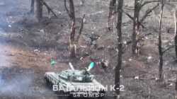 Tank on zigger_thumb.jpg