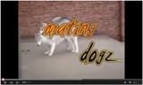 mating-dogs-window-tee